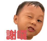 503203321