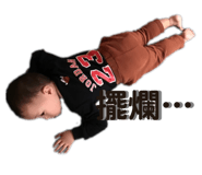 503203327
