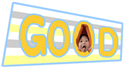 503273069