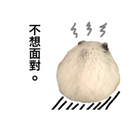 503277708