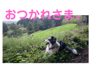 503277791