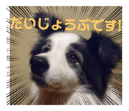 503277799