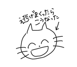 503372676