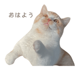 503379922