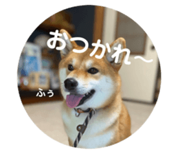 503388865