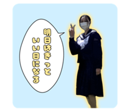 503390337