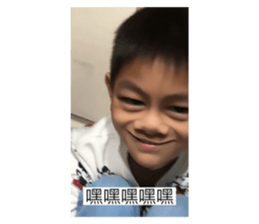 503394034