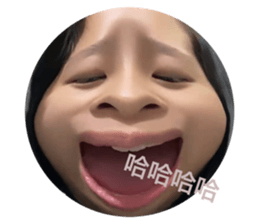 503394320