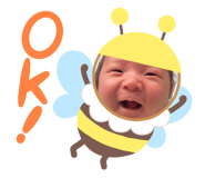 503394581
