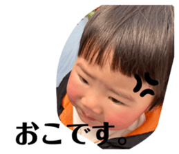 503400815