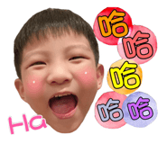 503406027