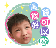 503406029