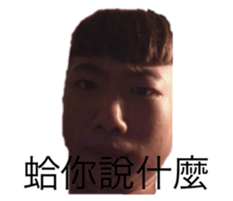 503417932