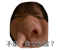 503419439