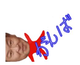 503428086