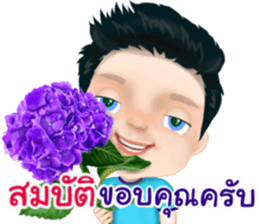 50344554