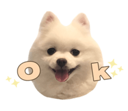 503450625