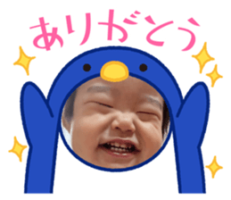 503466767