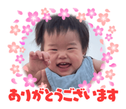 503466768