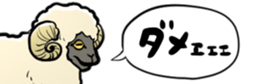 503483717