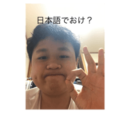 503491537