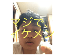 503491549