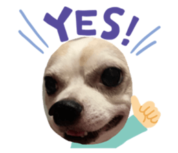 503495378
