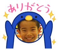 503500226