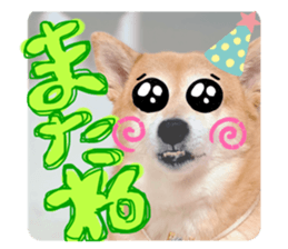 503502372