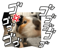503503358