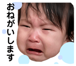 503553294