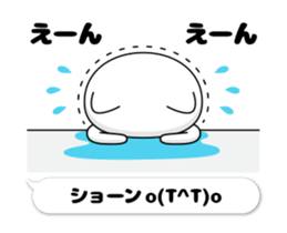 50356329