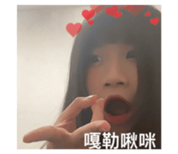 503594409
