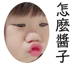 503595521