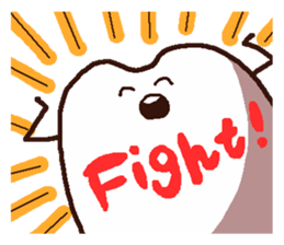 503604