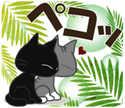 503622448