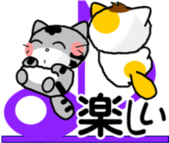 503622876