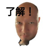 503624809