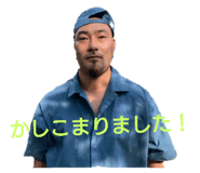 503624811