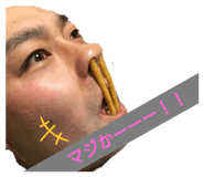 503624813