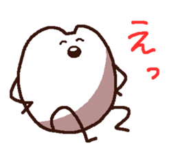 503631