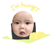 503651774