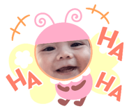 503651775