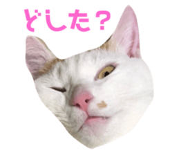 503656609