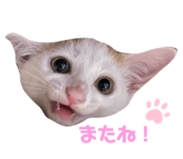 503656612