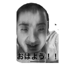 503657797