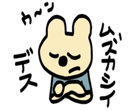 5036675