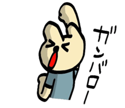 5036693