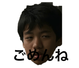 503669436