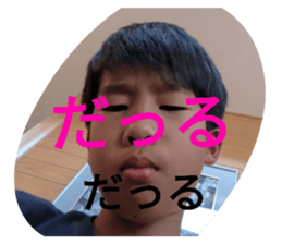 503669604